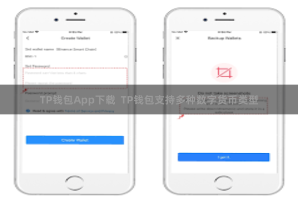 TP钱包App下载 TP钱包支持多种数字货币类型