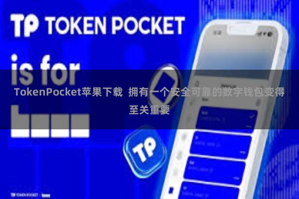 TokenPocket苹果下载  拥有一个安全可靠的数字钱包变得至关重要